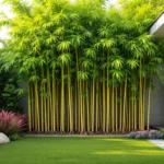 entdecke, warum das pflanzen von bambus deinen garten unerwartet teuer machen kann und welche kostenfallen du vermeiden solltest.